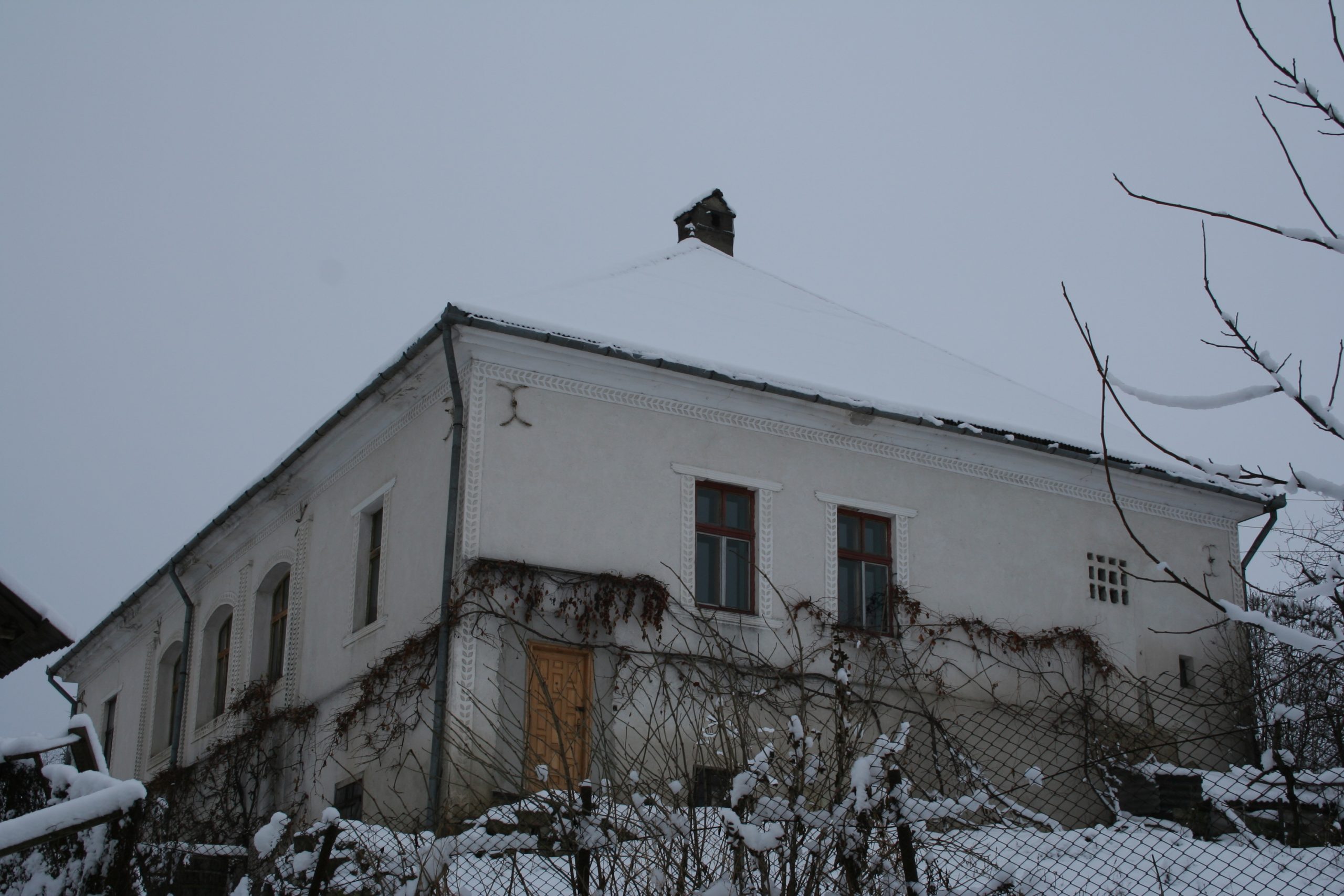 Biserica Dumitra (1)