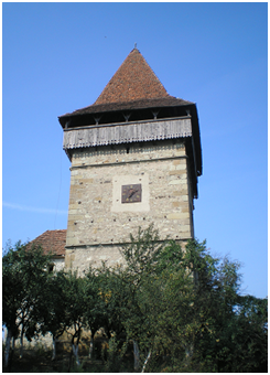 Biserica Dumitra (1)