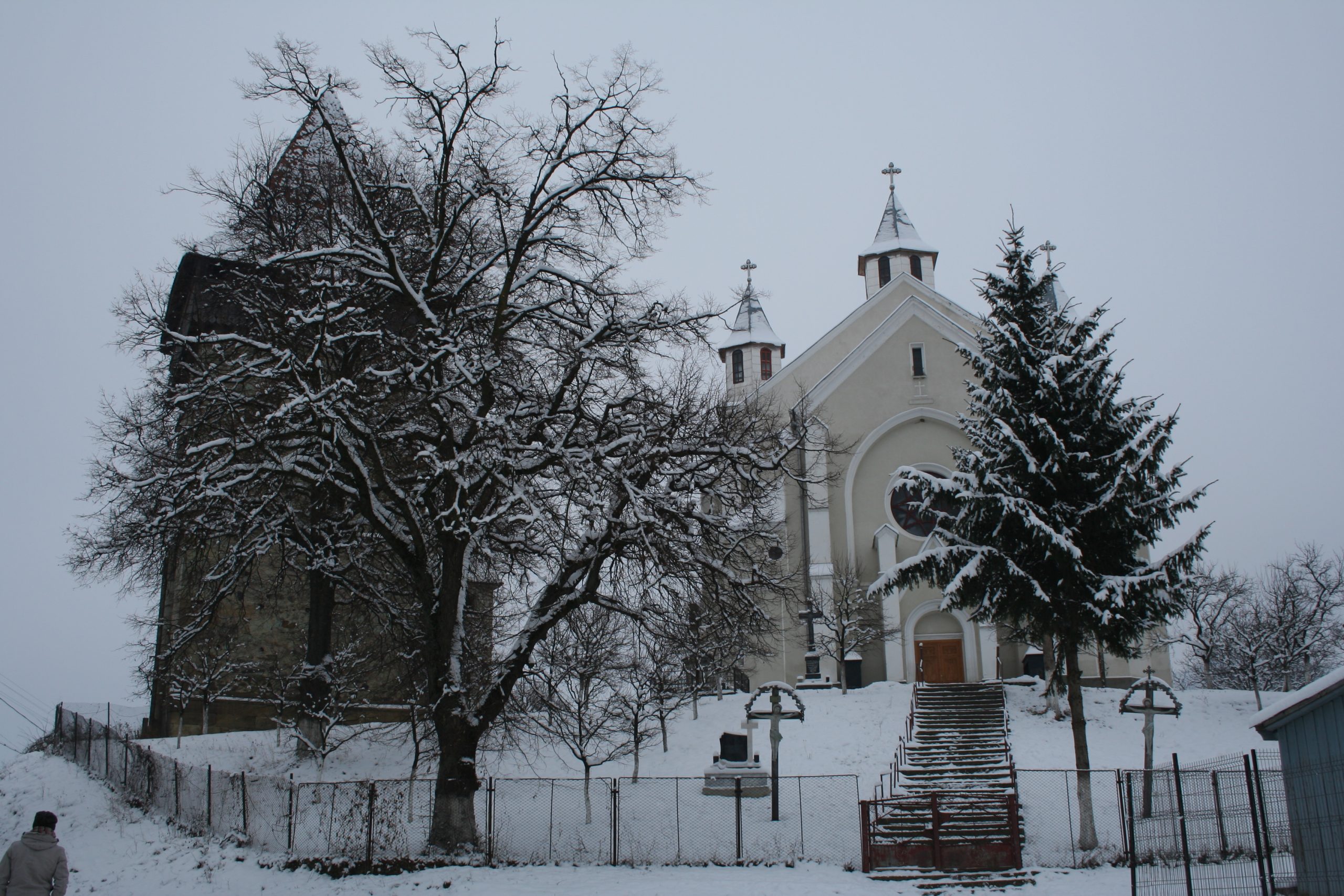Biserica Dumitra (2)