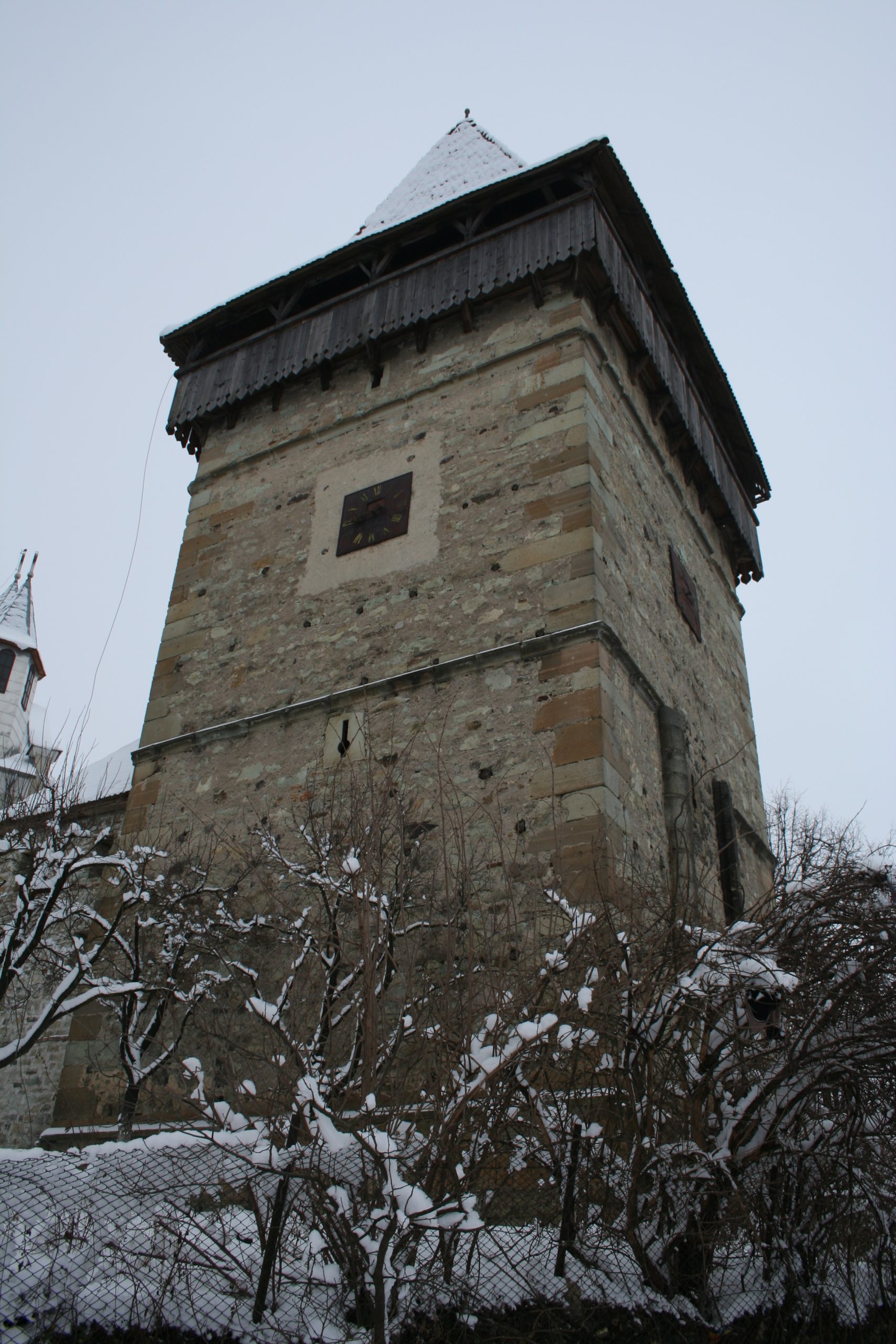 Biserica Dumitra (4)