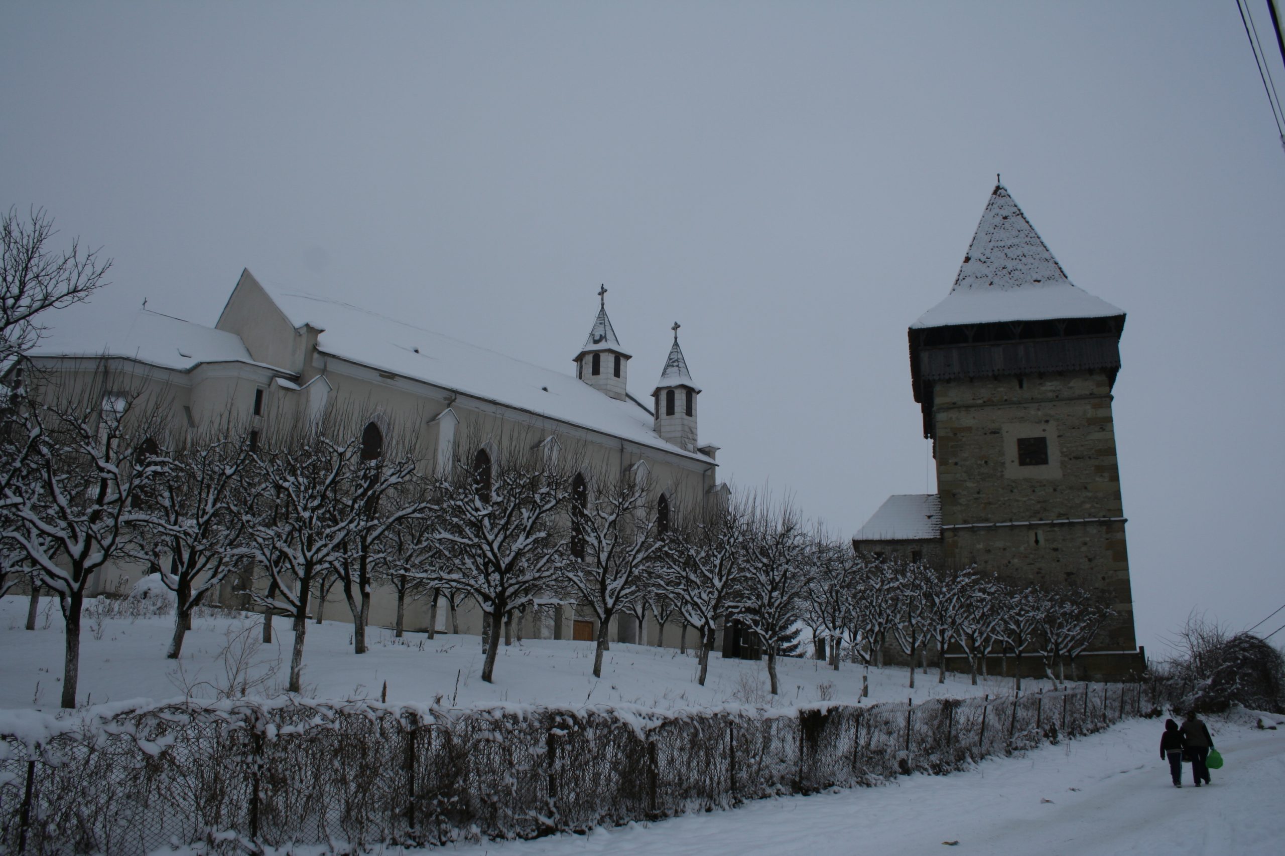 Biserica Dumitra (5)