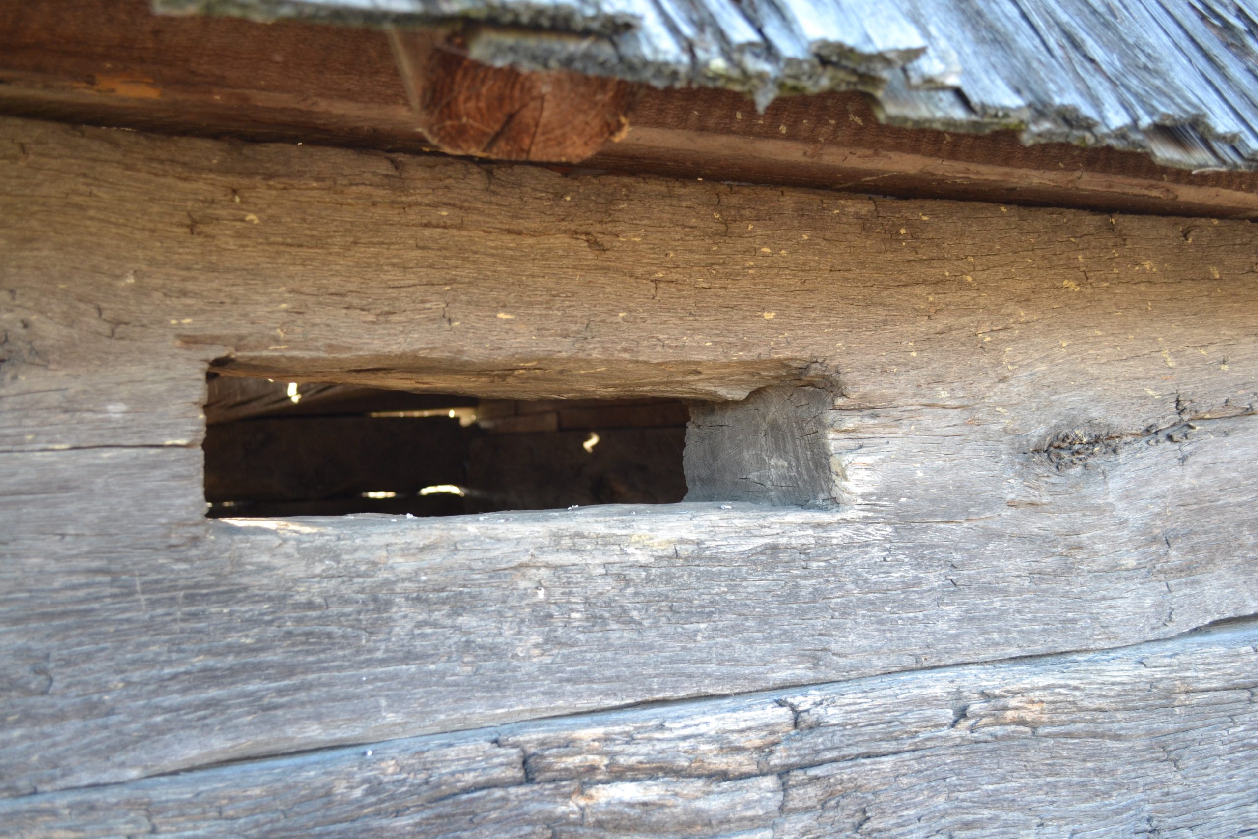 Fântâna Cepari (2)