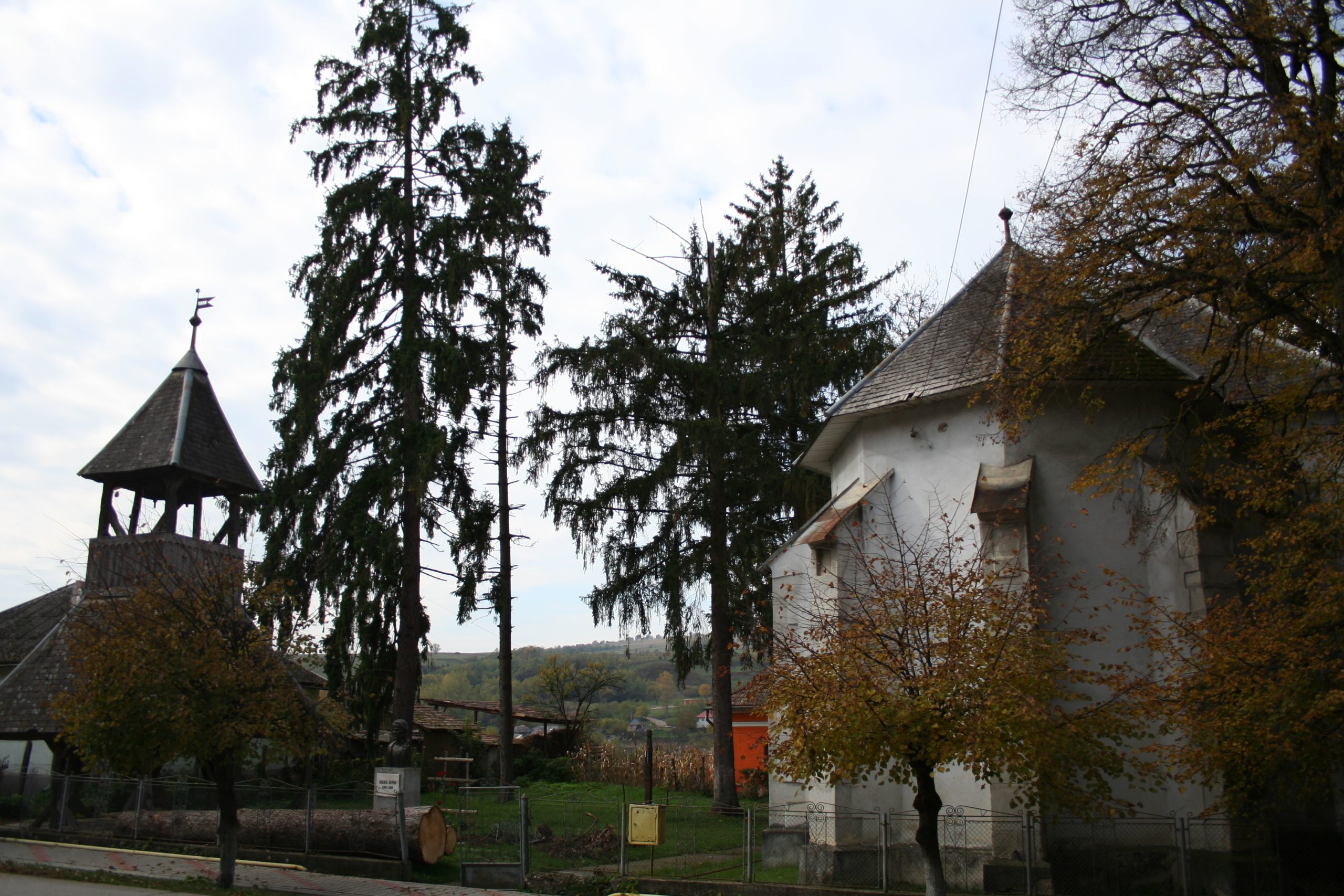 Biserica Nușeni (1)