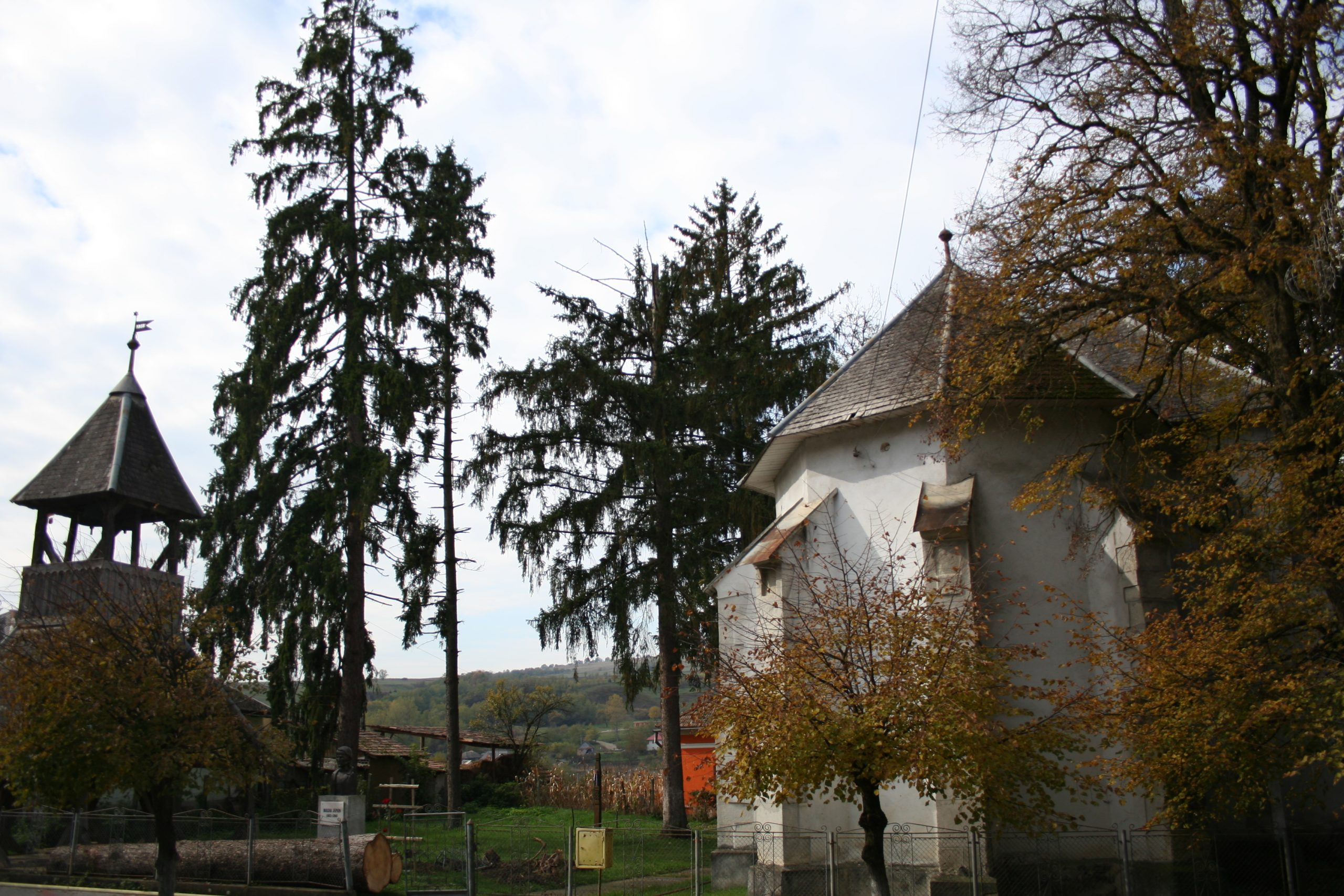 Biserica Nușeni (8)