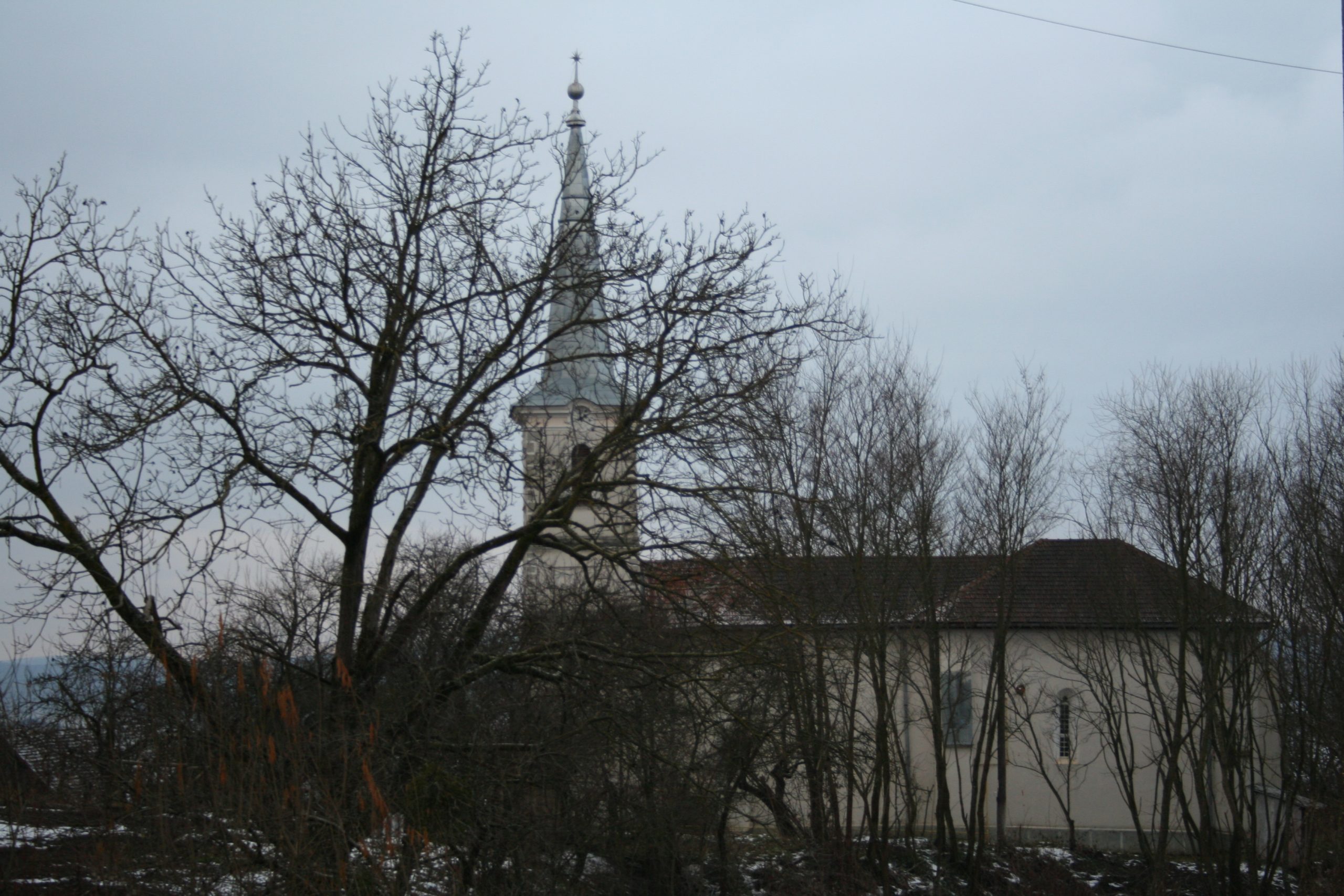 Biserica Țigău (3)