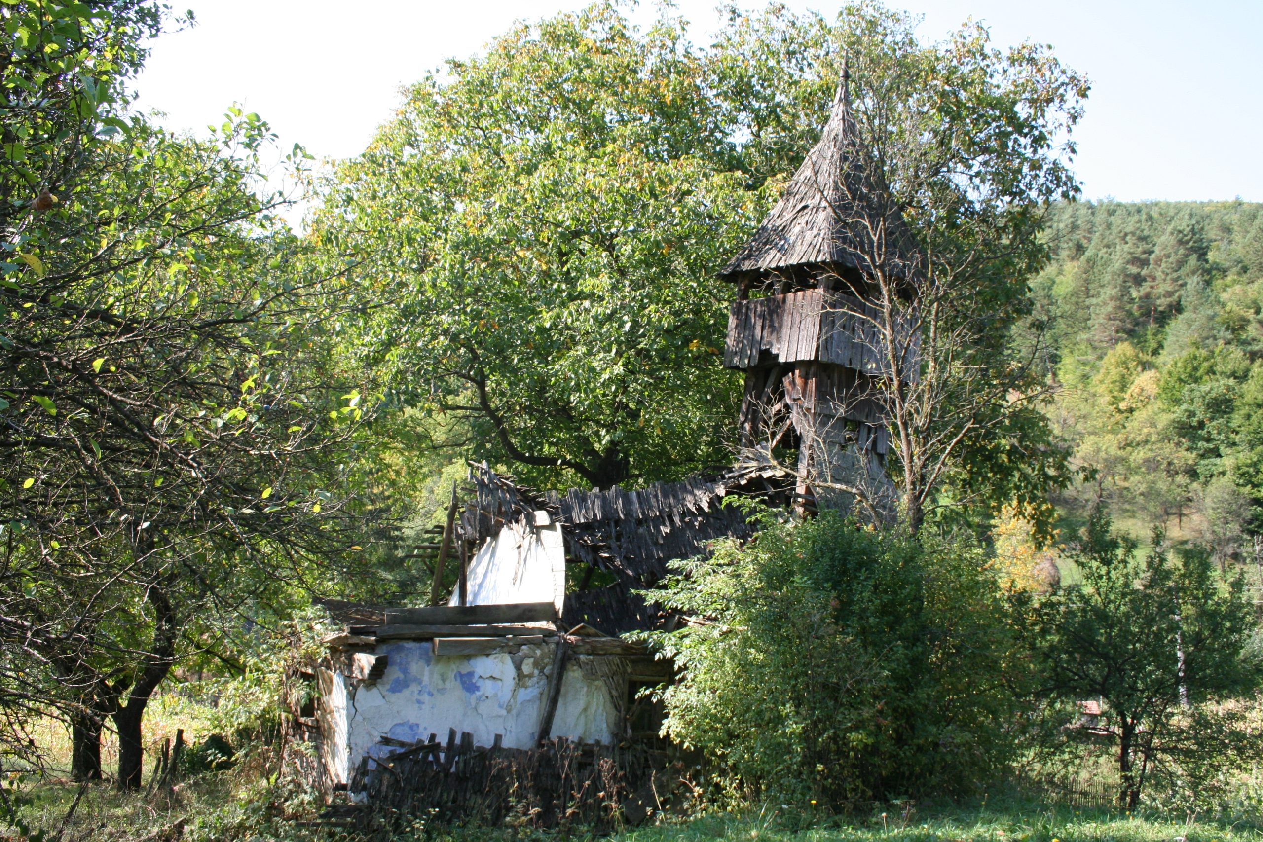 Biserica de lemn Păltineasa (1)