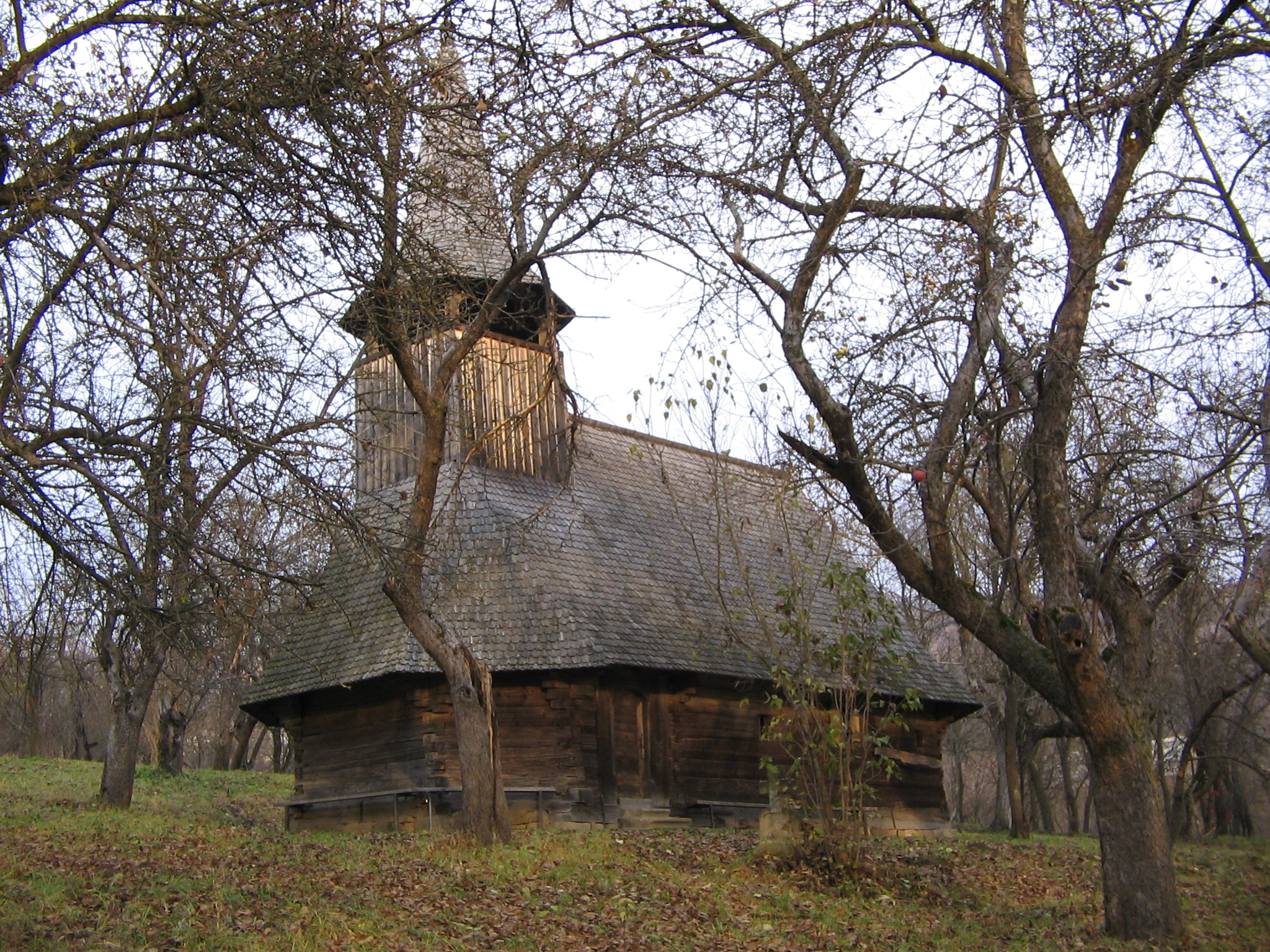 Biserica de lemn Țigău (2)