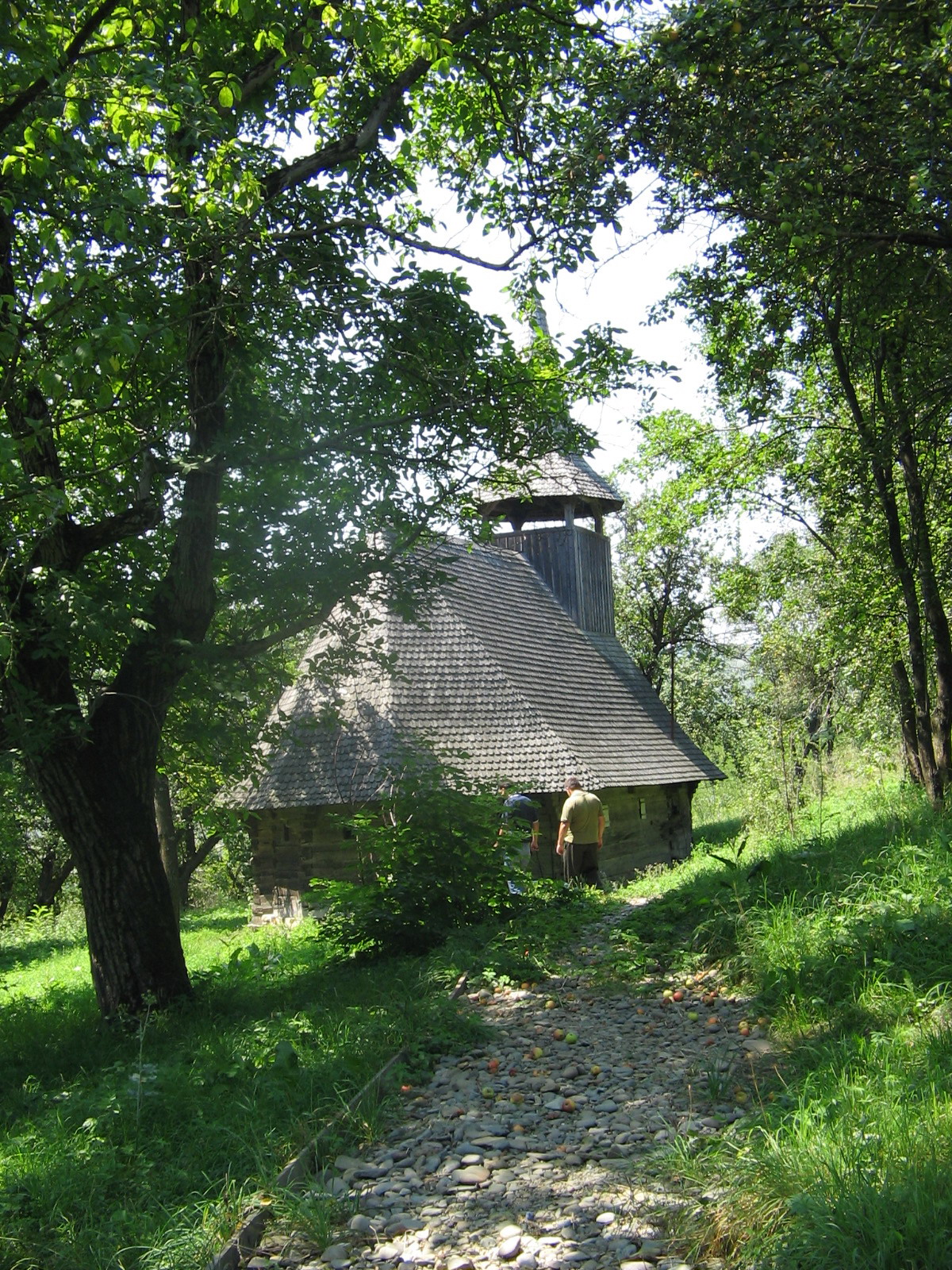 Biserica de lemn Țigău (3)