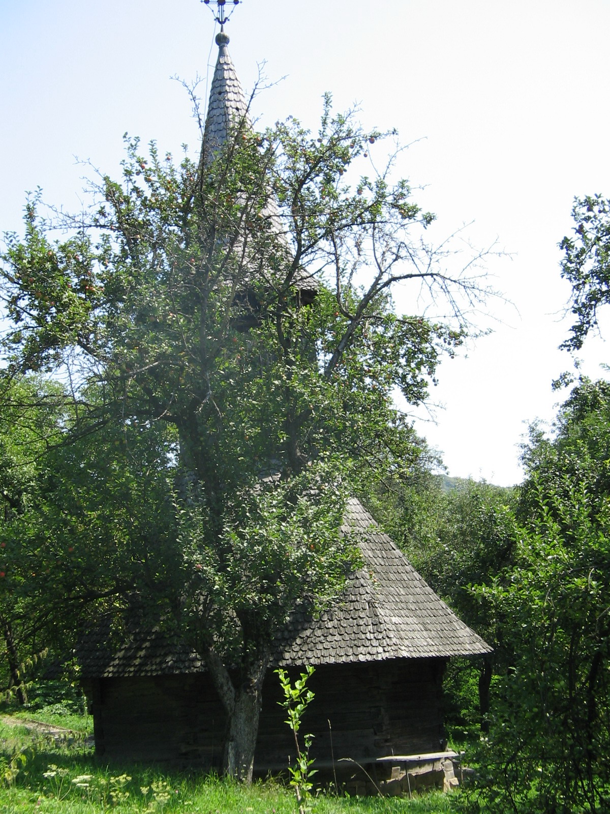 Biserica de lemn Țigău (4)