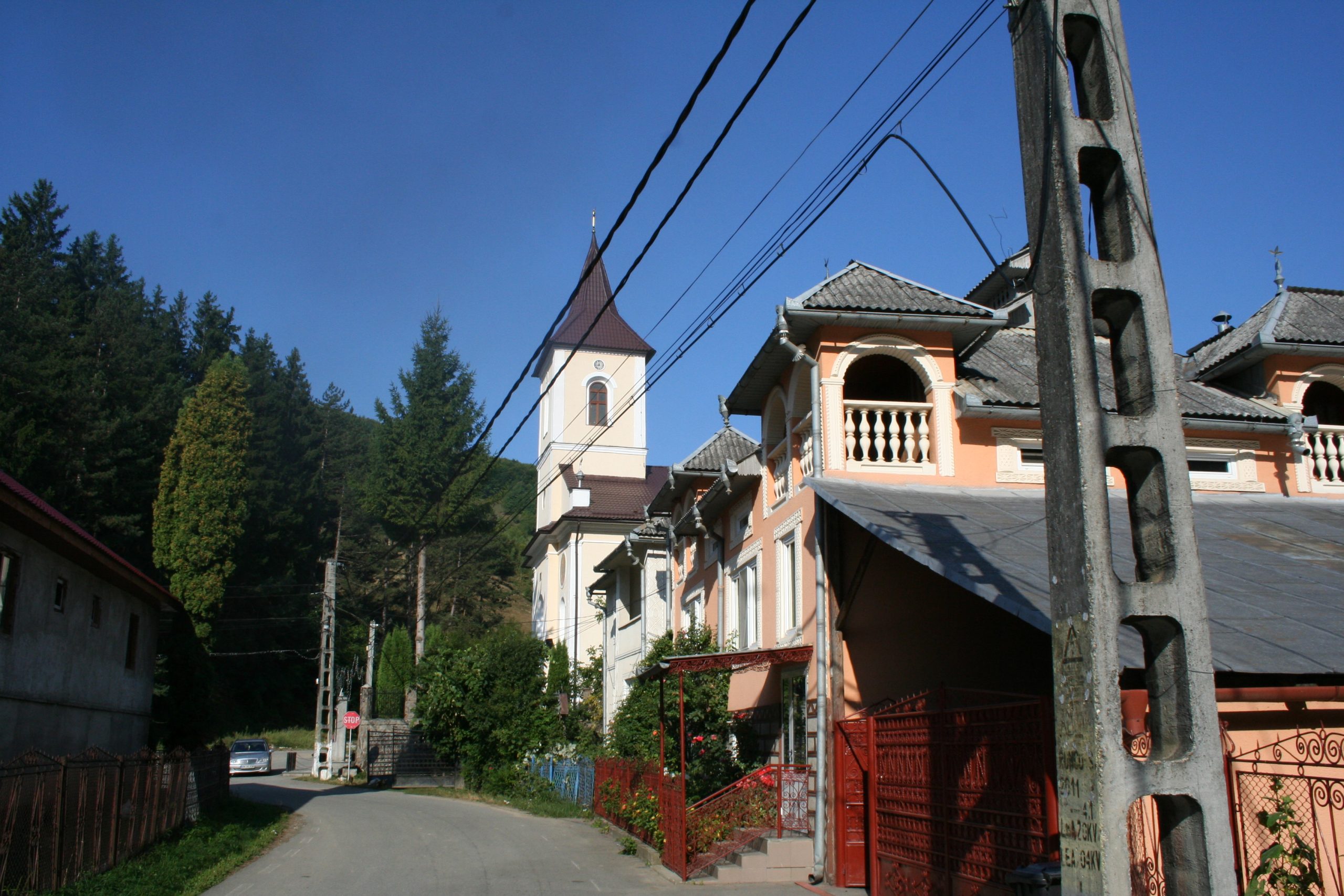 Biserica ortodoxă Runcu (10)