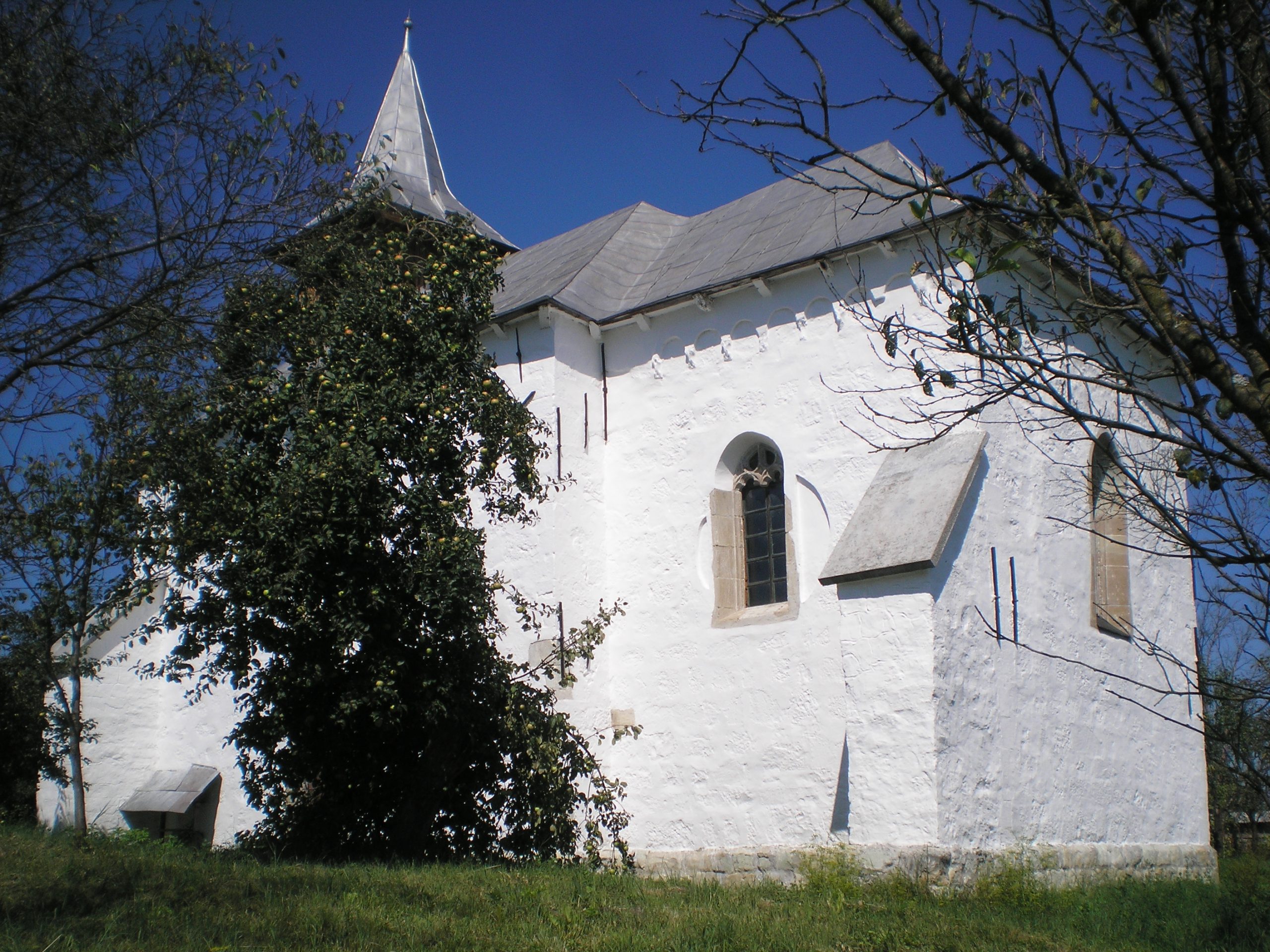 Biserica reformată Șieu-Odorhei (3)