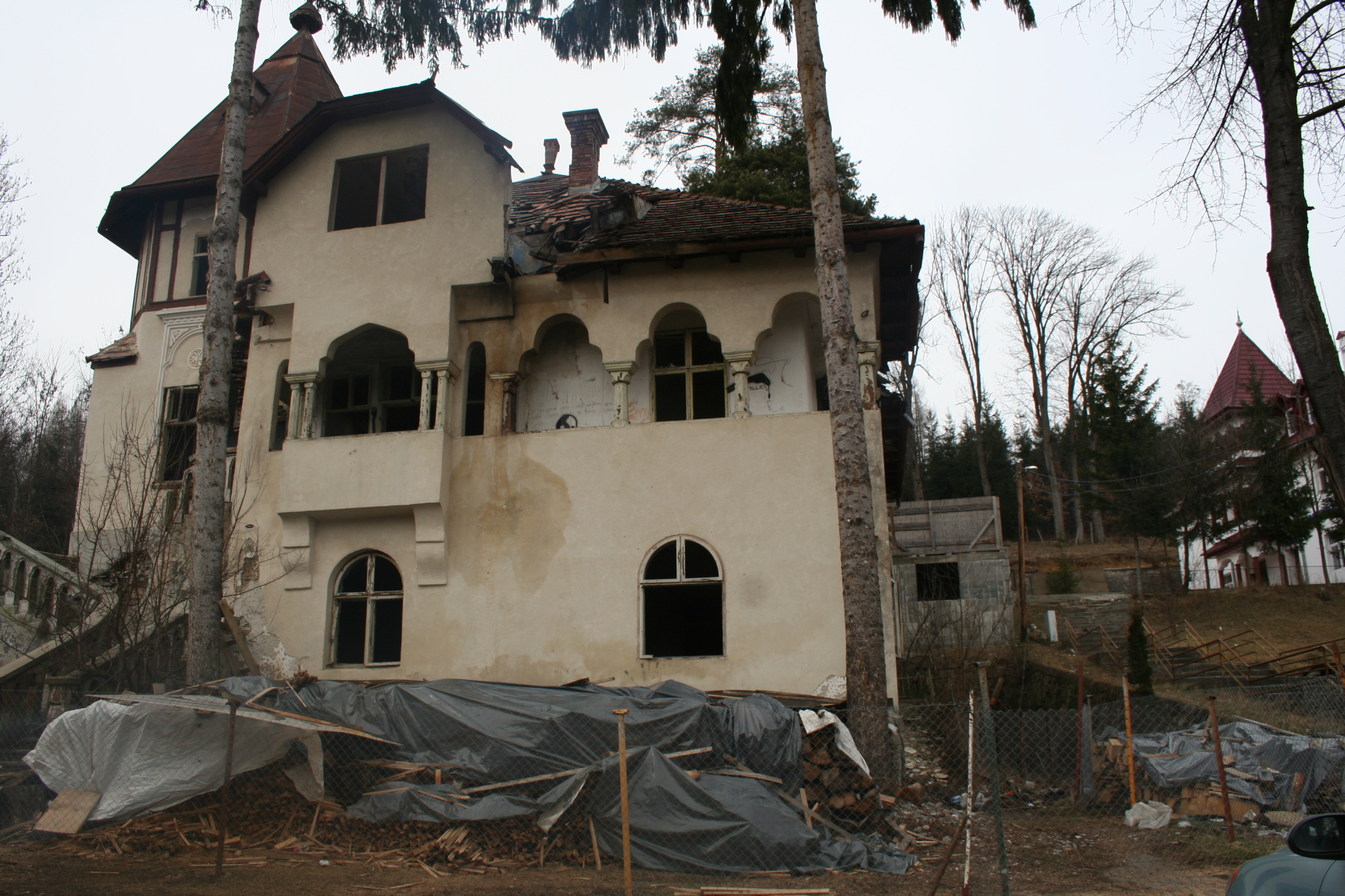 Vila 1 sângeorz (1)